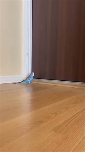 Провинциалка Провинция Прозвище on Instagram