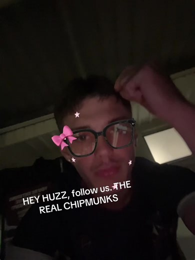 thechipmunks (@thechipmunks_)’s videos with Party Rock Anthem - The Chipmunks & The Chipettes