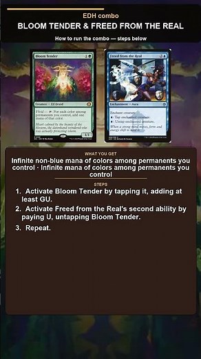 MTG EDH Combo Explained