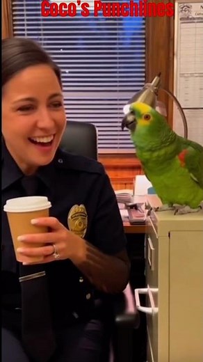 Mr. Coco was about to propose beautiful cops