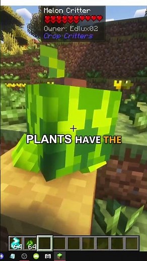 HOW THE WATERMELON CRITTER WORKS IN MINECRAFT CROP CRITTERS