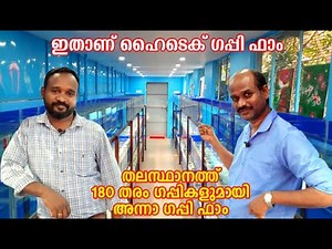 ഈ ഗപ്പി ഫാം കണ്ടാൽ വാ പൊളിച്ചുപോകും, വ്യത്യസ്ത രീതിയിൽ Anna Fish Breeding Farm, Trivandrum