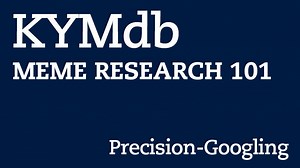 Meme Research 101: Precision Googling