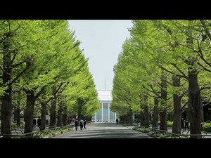 さらば青春 - 小椋佳