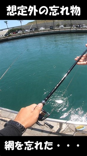 【網を忘れた時に限って・・・】 #かぶせ釣り ＃浜名湖 ＃ヘダイ