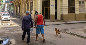 Noticias de Cuba: Las noticias más leídas hoy 29 de octubre de 2020