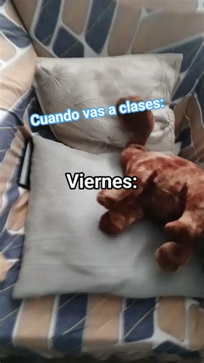 *musikita epica🤑*