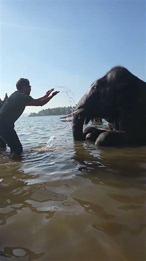 sakarebailu 🐘