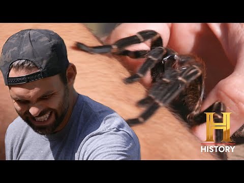 Kings of Pain: 4 TERRIFYING INSECT BITES - "The Worst Pain I've Ever Felt!"