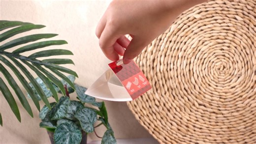 Watch Bed Bug Traps on Amazon Live