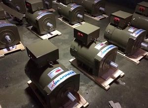 [Hot Item] Brushless Alternator Electric AC Dynamo Generator with Double Bearing