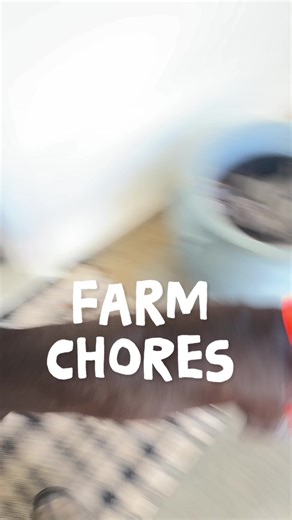 Quick farm vlog featuring the GSP and his untimely bathroom breaks. But we did get our first turkey eggs which is always exciting ❤️😍 #homestead #farmanimals #farmvlog #farmlife #goats