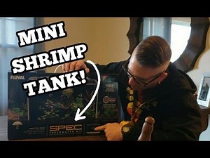 MINI SHRIMP TANK! Buying and Sharing HOW TO SET UP the NEW FLUVAL SPEC 5 Gallon!