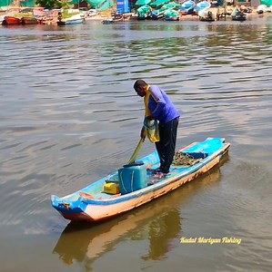 19K views · 73 reactions | Catching Mullet fishes in Cast Net fishing | Kadal mariyan- fishing | Facebook