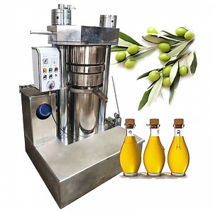 [Hot Item] Small Olive Oil Press Machine Hot Oil Press Machine