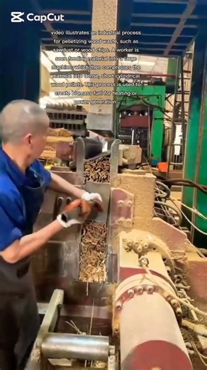 Wood Pellet Manufacturing process #shortsfeed