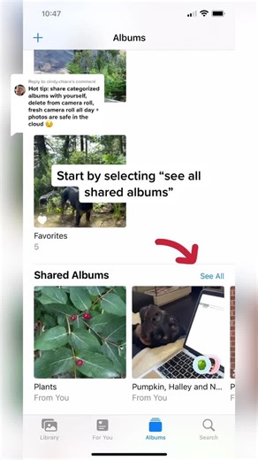 How to Organize your Camera Roll with Shared Folders