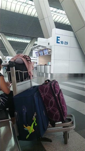 #shortvideo #traveling #exloader #explorepage #yengzkiefoodtripvlog