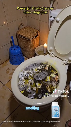 Kid Flushed Wipes Clogged Toilet? How to Fix It!
