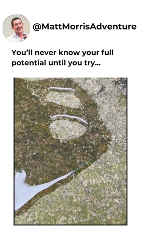 Take a chance on yourself! #mindset #motivation #mattmorris #networking #7figure | Matt Morris