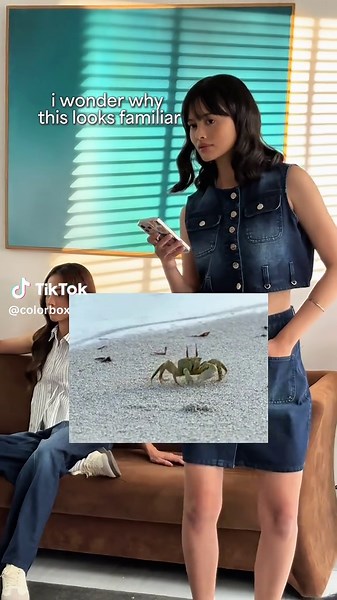 Colorbox Outfits: Explore Unique Fashion Choices