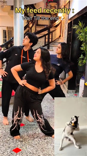 kavya Sivakumar on Instagram: "Yenna da indha trend :) cry is coming #tamil #fun #comedy #dogdance [ dog dance , ichu ichu, cringe instagram videos , insta reels , trending song Tamil dance , recreation recreate , for you page , explore page , fun funny comedy ]"