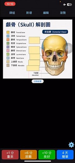 Anki怎麼背圖？30秒教你超強圖像記憶法 #shorts #anki #學習 #記憶法 #分享 #教學 #高效學習 #解剖学