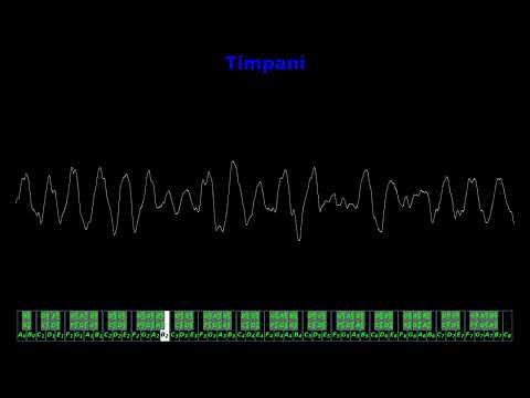 Timpani Chromatic Scale (C2 - C4)
