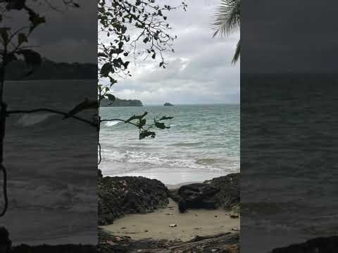 My Path To Ancestral Vocal Alchemy