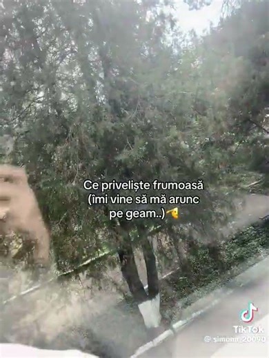 oricum nimănui nu îi pasă de mn🫡‪@J1st_S1mo‬ ‪@cont._.lăsat-HI‬‪@Gabrielaaa558‬