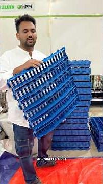 Modern Sheep Elevated Sheds Construction with Full Details