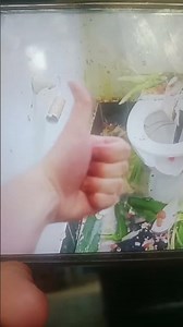 HowToBasic gives you a thumbs up.