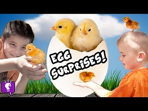 Giant CHICKEN EGG Surprise with Novelty Toys - Videos For Kids