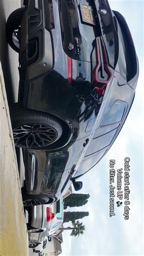 BMW X3 M40i REAL Cold Start After 8 Days | Raw Engine & Exhaust Sounds