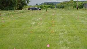 Veracity: The Broken Normal