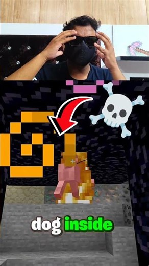 THIS DOG IS GOING TO DIE..😭