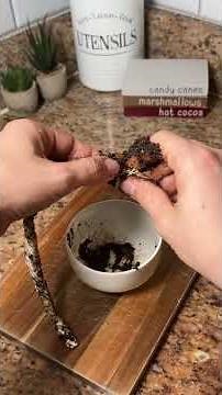 This Coffee Grounds Trick Will Keep Your Home Bug Free FOREVER