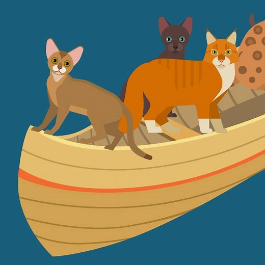 Animated map shows how cats spread across the world. | Insider Science