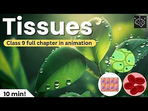 Tissues Class 9th Full Chapter🔬in 10 min✅ (Animation)|Class 9th Science|