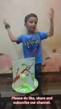 The life cycle of butterfly - science for primary kids and toddlers | From caterpillar to butterfly