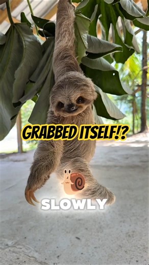 This animal really said “I got you”… to itself 💀 #facts #didyouknow #shorts