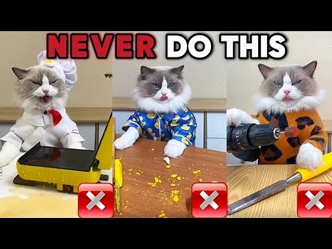 🚫🐾 Puff's Guide: Life Hacks You Should NEVER Try! 🛑✨