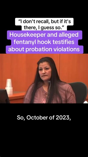 Kouri Richins' Housekeeper Testifies on Probation Violations