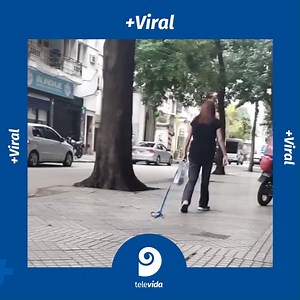 Bluetooth disconnected ‼️ ¡Señora, se le desconectó el perro! Esta mujer se hizo viral por haber sacado a pasear a su mascota, perdiendola a mitad de camino🤣 #humor #viral #perros #paseo | Canal 9 Televida