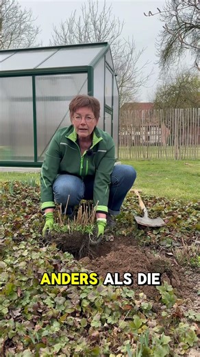 ANNETTES GARTENTIPP - April🌾