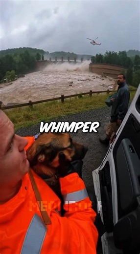 Dam Breaking In 90 SECONDS... Dog Still Chained Below 😰❤️