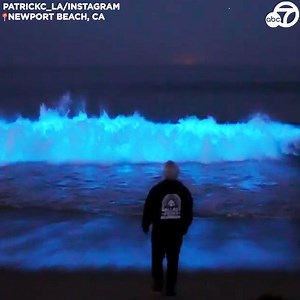 161K views · 6.8K reactions | STUNNING SIGHT: The waves off our coast are turning blue again! Bioluminescent waves are lighting up the waters off Newport Beach. https://abc7.la/3mpTFiH  | ABC7 | Facebook