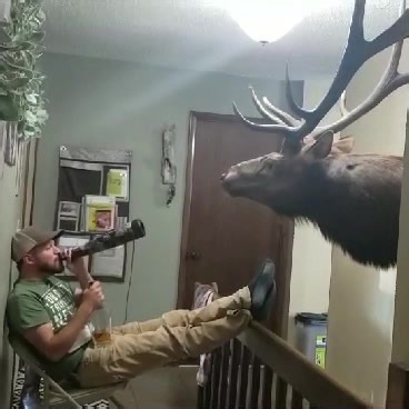 5.3M views · 10K reactions | The withdrawals can be very real…..路‍♂️路‍♂️ #buckstormsd #buckstormhunts #elkhunting #elk #elkseason #september #bullelk #isitseasonyet #bugle #elkhunting #elkhunt #hunting | Buckstorm | Facebook