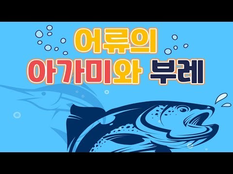 어류의 아가미와 부레