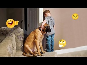 FUNNY DOGS FAILS 2025 🤣 Hilarious Dog Moments That Will Keep You Laughing All Day! 🐾#26